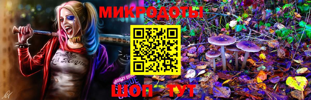 Псилоцибиновые грибы Magic Shrooms Кириши