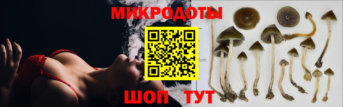 Псилоцибиновые грибы Magic Shrooms  Галлюциногенные грибы MAGIC MUSHROOMS  Вход с VPN  даркнет сайт  Кириши 